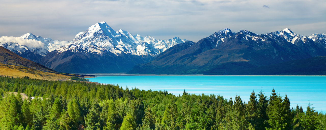 Sprachreise Neuseeland www.kompasssprachreisen.de